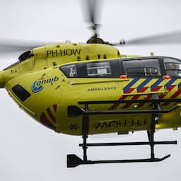 Bestuurder omgekomen doordat boom op bestelbus valt in Boxtel