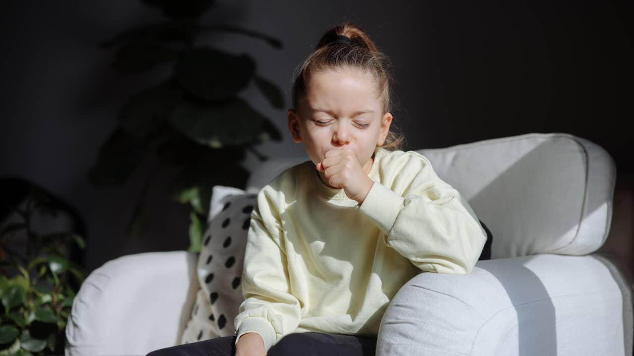 Meer kans op hooikoorts vanaf donderdag: 'Allergisch? Zet je dan maar schrap'