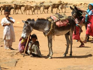 Omsingelde stad Al Fashir laat zien hoe zorgelijk de crisis in Soedan is
