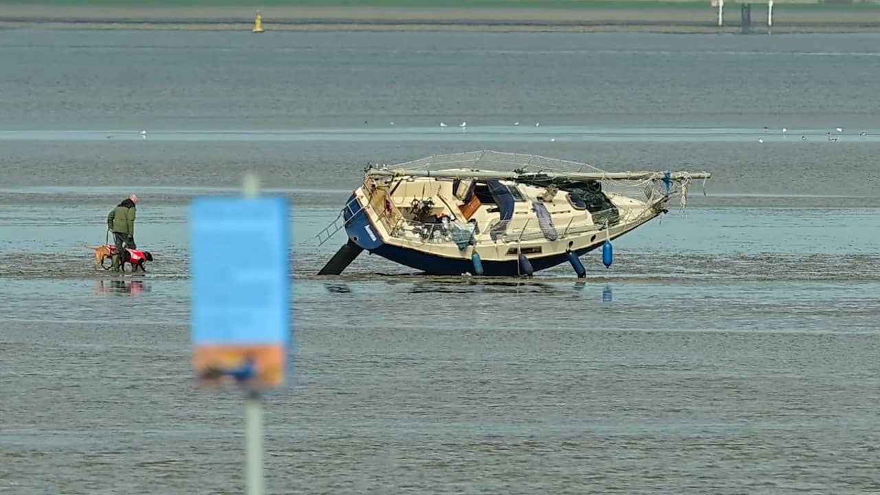 Video | Schipper laat honden uit naast drooggevallen jacht bij Delfzijl
