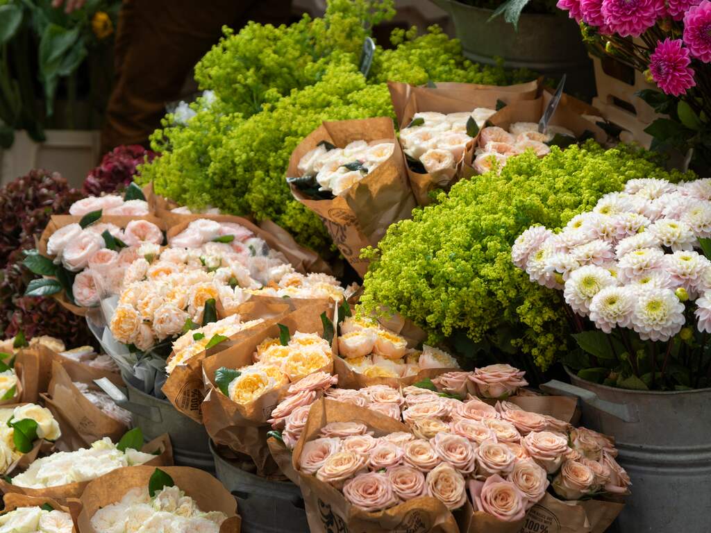 Mijlpaal in Frankrijk: hulpfonds ziet link tussen pesticiden en overlijden kind