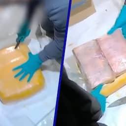 Video | Britse politie vindt lading cocaïne in blok Goudse kaas