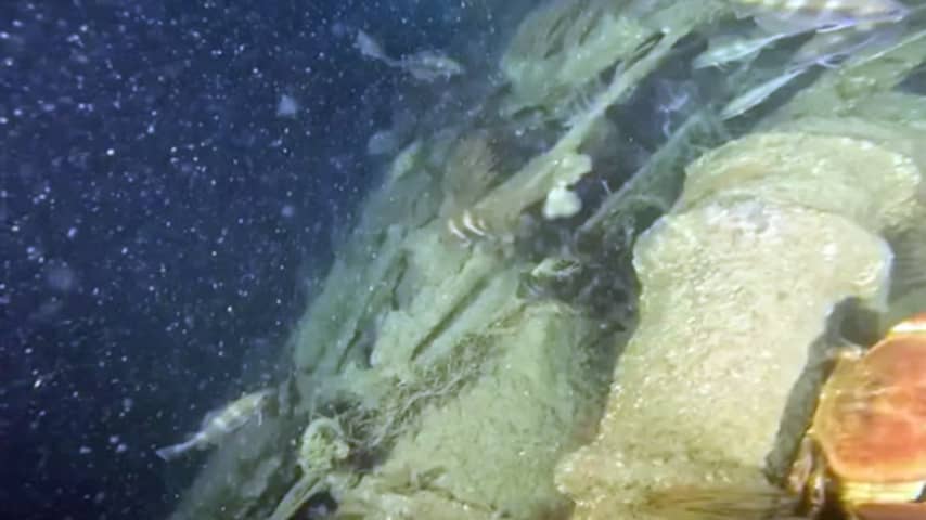 Duitse U-boot uit WO II die door tikfout 82 jaar spoorloos was teruggevonden