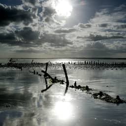 Weerbericht | Zon en stapelwolken wisselen elkaar af