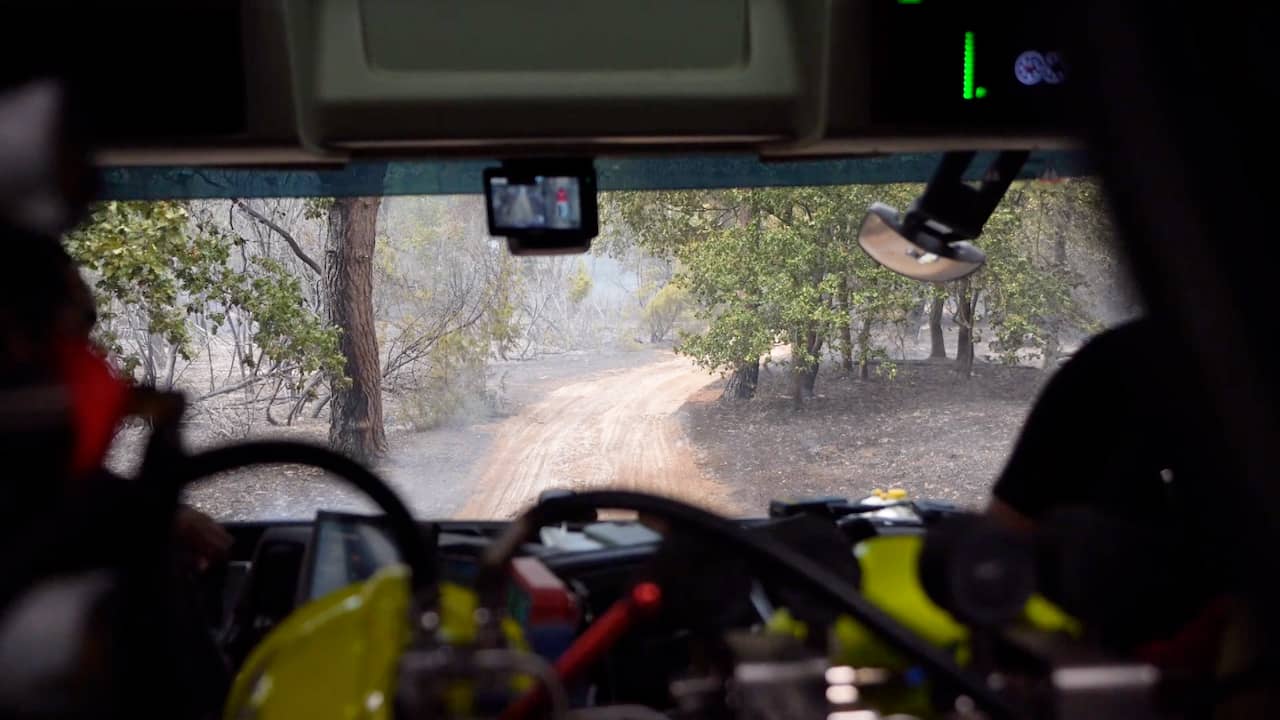 Journalist deelt inkijkje in brandweerwagen in Limburgs natuurgebied
