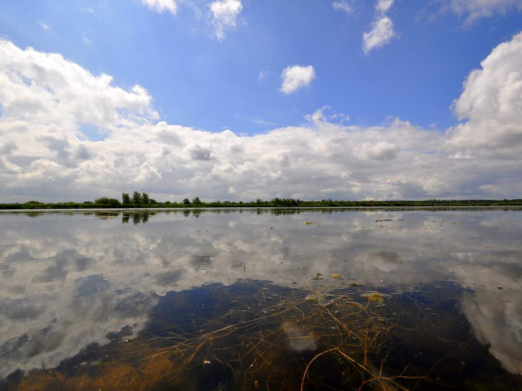 Maandag 8 juni: Het begon bewolkt in Brabant, maar klaarde geleidelijk op.