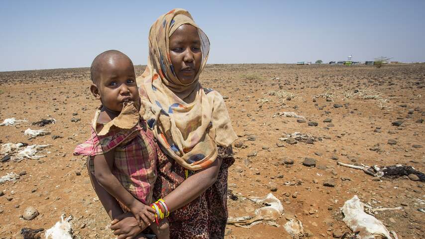 Wanhoop in de Hoorn van Afrika: 'Ze vroegen of veevoer eetbaar was'