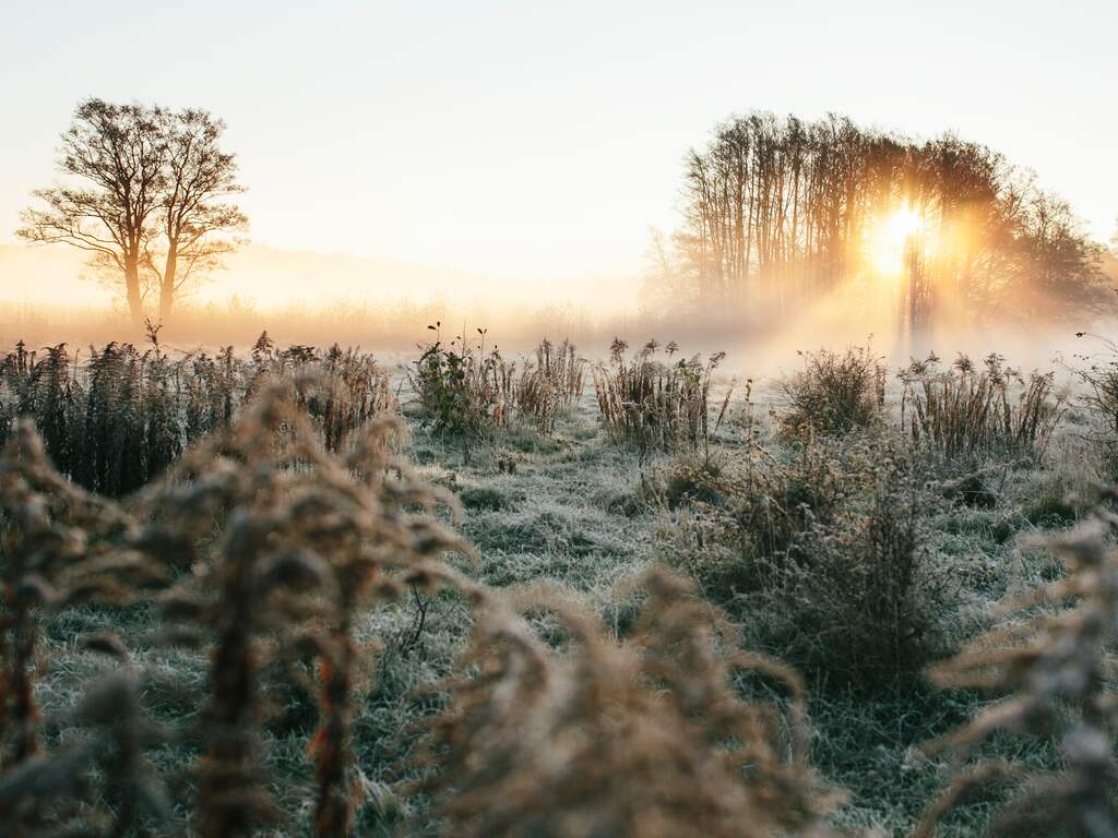 Voor het eerst weer nachtvorst gemeten in Drenthe en Overijssel