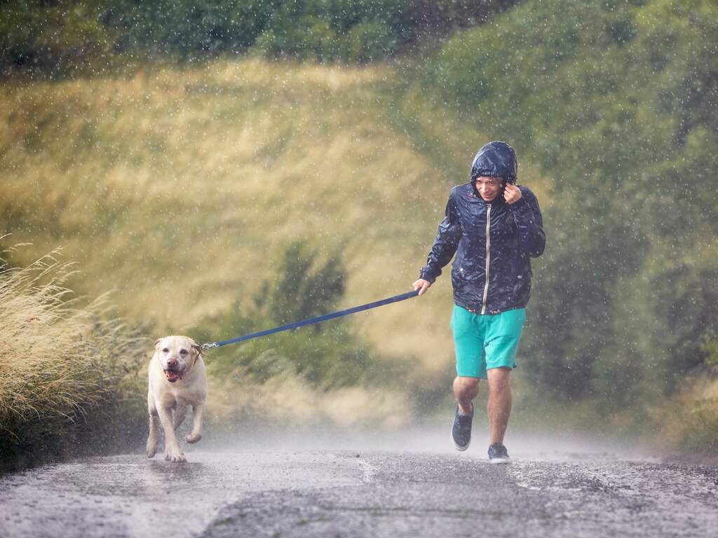 Flinke bak regen komt onze kant op: 'Hemelvaartsdag wordt herfstachtig'