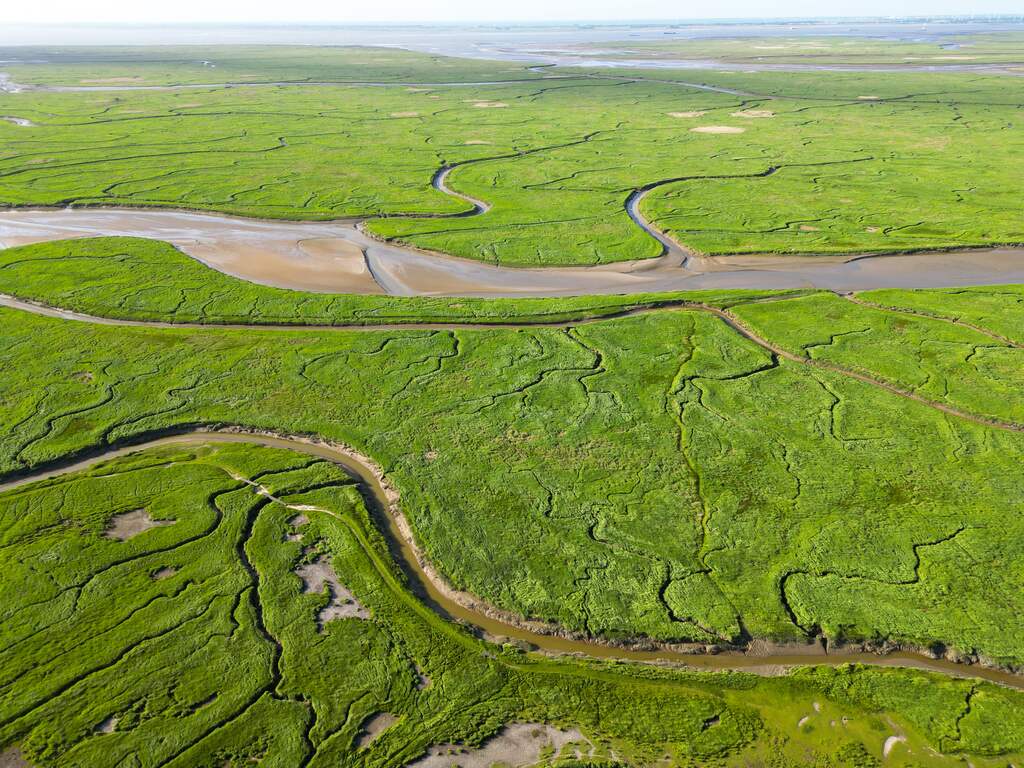 Scheldedelta erkend als geopark: 'Bijzondere ontstaansgeschiedenis'