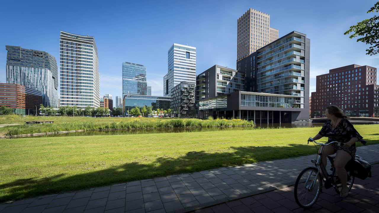 Voor bescherming tegen hitte is groen gebied ter grootte van Amsterdam