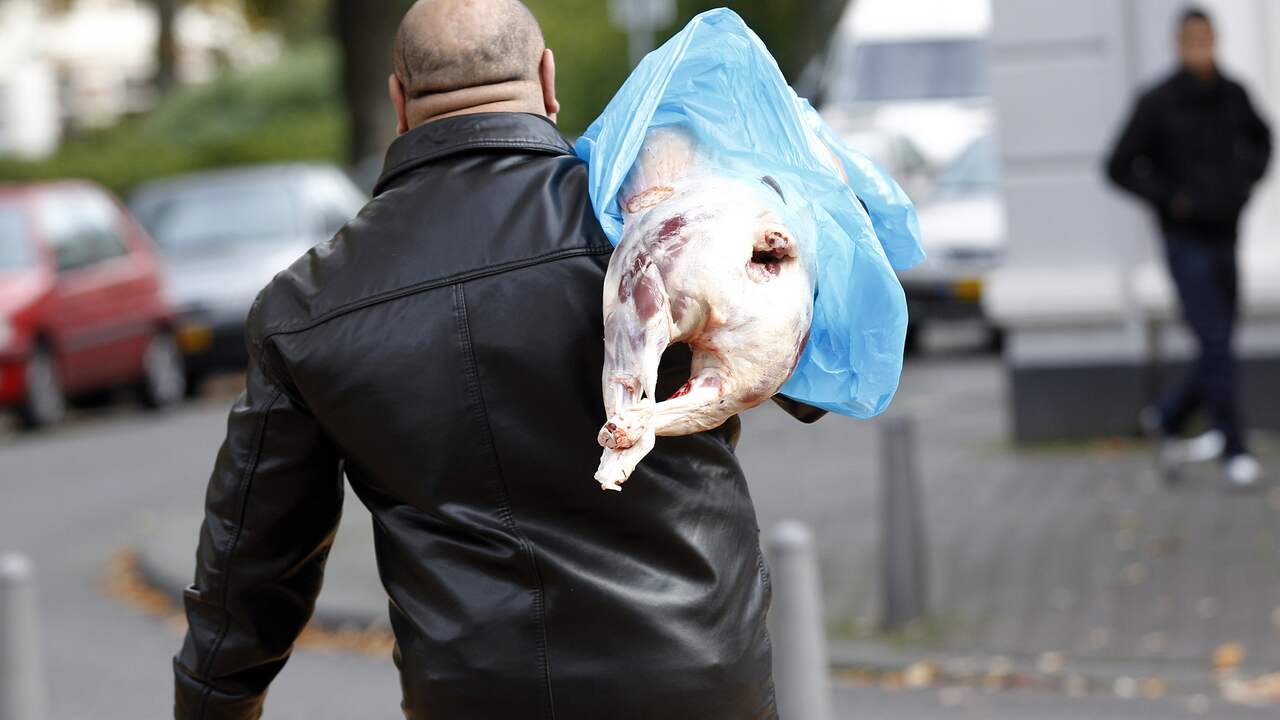 Offerfeest: Minder vraag naar lammetjes door nieuwe slachtregels en vakantie