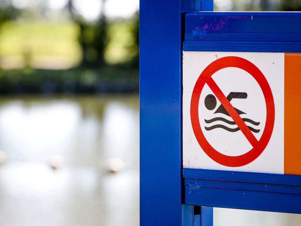 Minder blauwalg deze zomer, maar let nog wel op als je gaat zwemmen