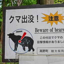 Japan is op zoek naar beer die koelkast plunderde en mogelijk serie-inbreker is