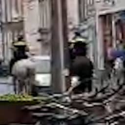 Video | Beschonken bestuurder in Den Bosch rijdt met auto op politiepaarden in