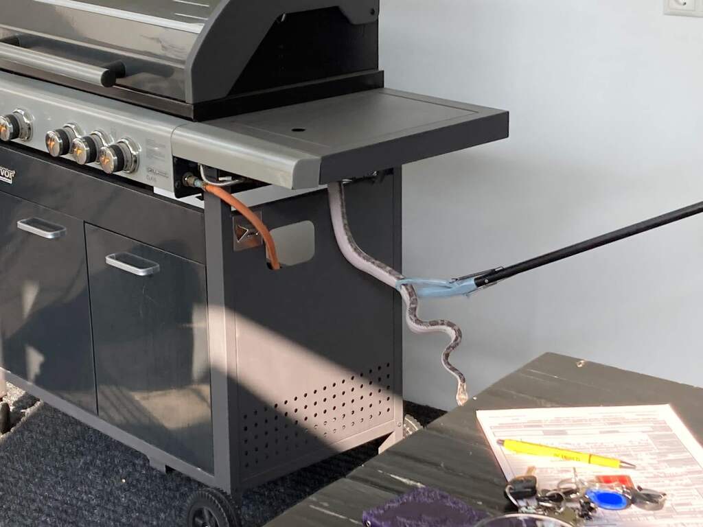 Slang van 2 meter lang verstoort barbecue in Gelders Zeddam