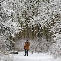 Live weer | Nieuwe sneeuw trekt over Nederland, wegen afgesloten in noorden