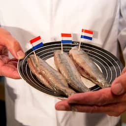 Albert Heijn en PLUS roepen haring terug vanwege mogelijke listeriabesmetting