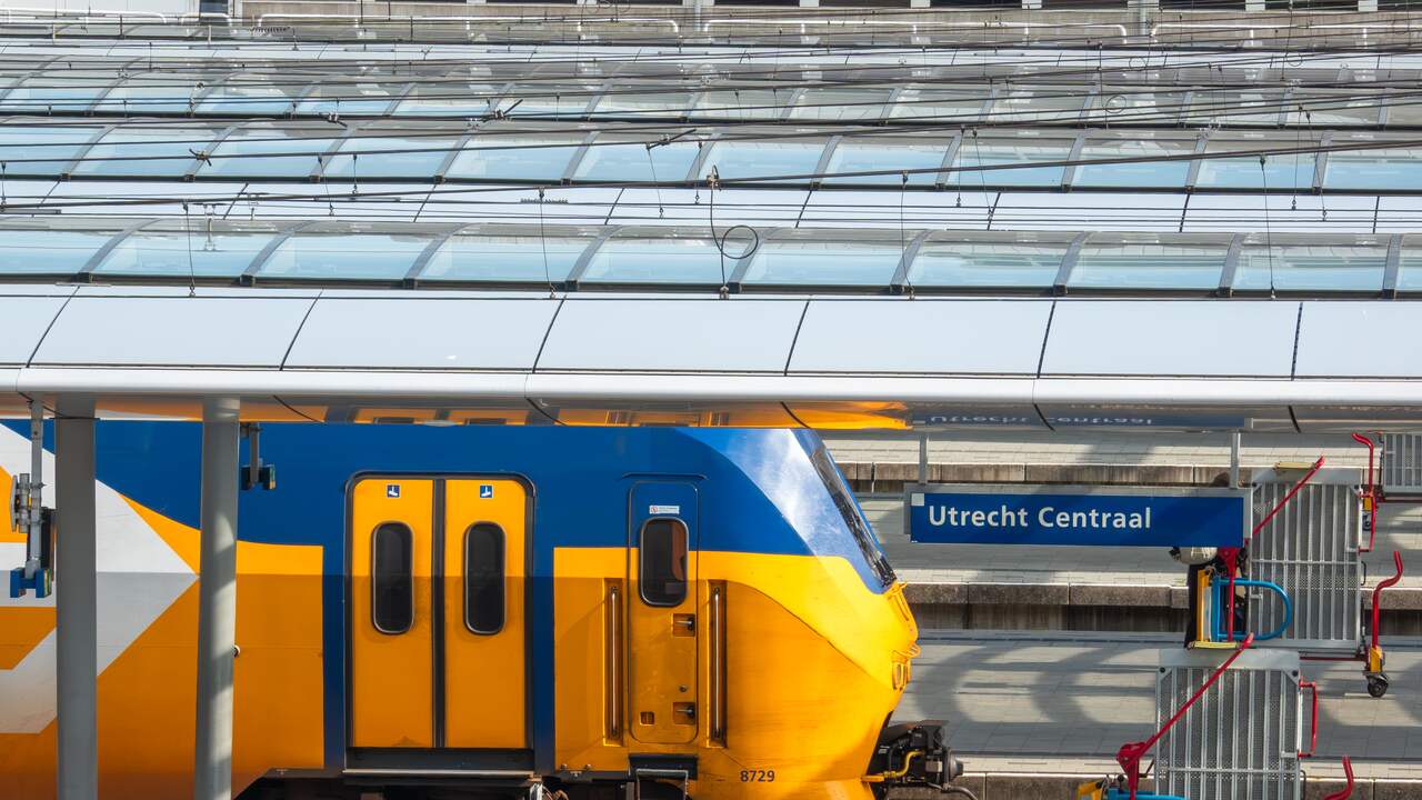 Foto bij Vier stations ontruimd vanwege achtergelaten tassen, vijf arrestaties