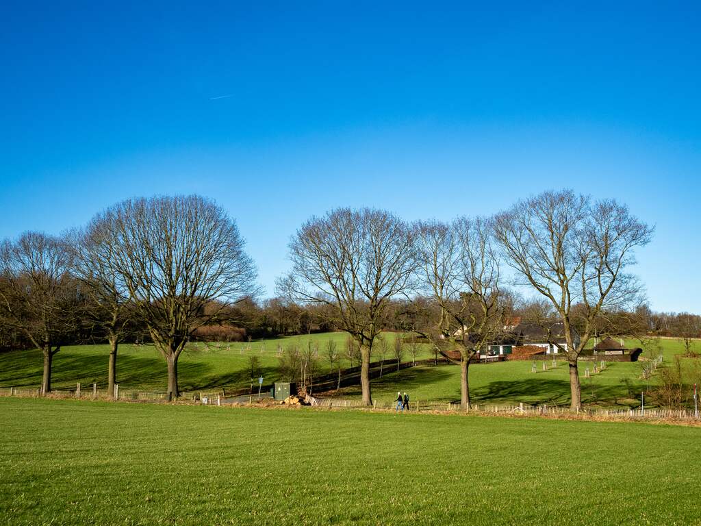 Weerbericht | Dinsdag begint fris, maar de zon zal zich snel laten zien