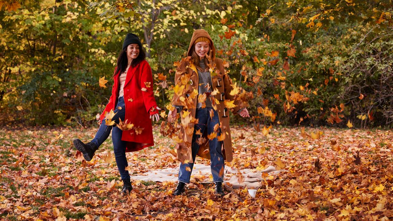 Waarom begint de herfst vandaag, maar ook later deze maand