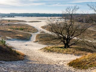 Welke gevolgen heeft de Europese natuurherstelwet voor Nederland?