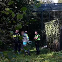 Verzorger Beekse Bergen geopereerd na panteraanval, situatie 'zorgelijk'