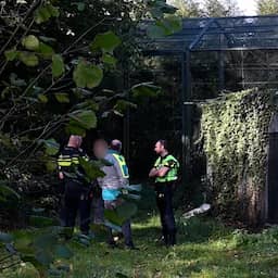 Verzorger safaripark Beekse Bergen gewond na aanval panter in binnenverblijf