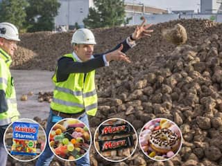 Fabrikanten in dé suiker- en snoepregio vrezen suikertaks