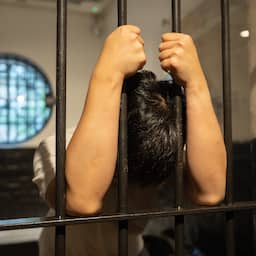 Staat betaalt honderdduizenden euro's omdat tbs'ers te lang in cel wachten