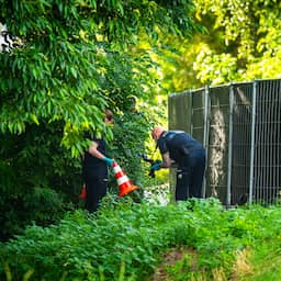 In Gouda doodgeschoten vrouw deed aangifte tegen ex en zat mogelijk ondergedoken