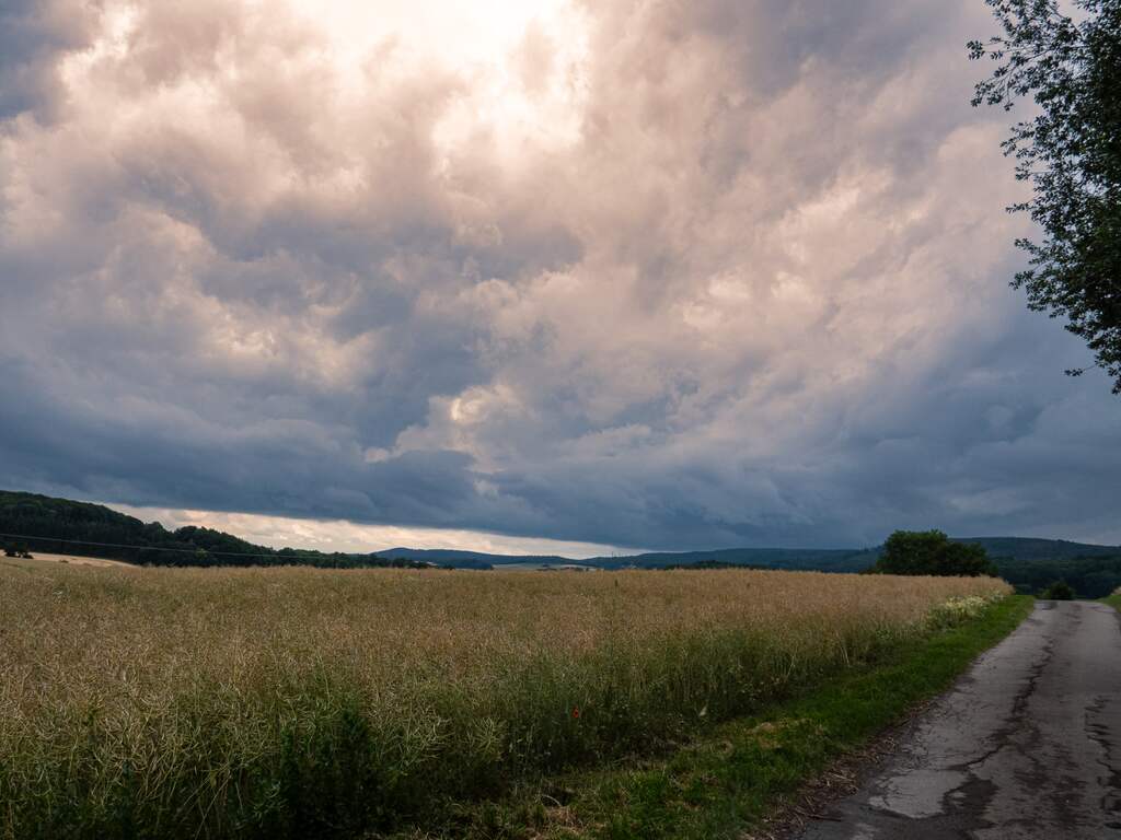 Weerbericht: Zacht weer met wolken, buien en wat zon