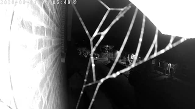 Camerabeelden laten schietpartij in Overasselt horen