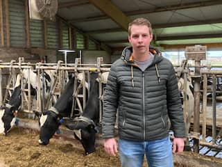 Zuid-Holland geeft boeren geen duidelijkheid: 'Er is te weinig daadkracht'