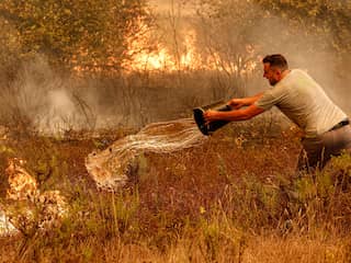 Deze landen kampen met bosbranden, hevige regen of naderende tyfoon