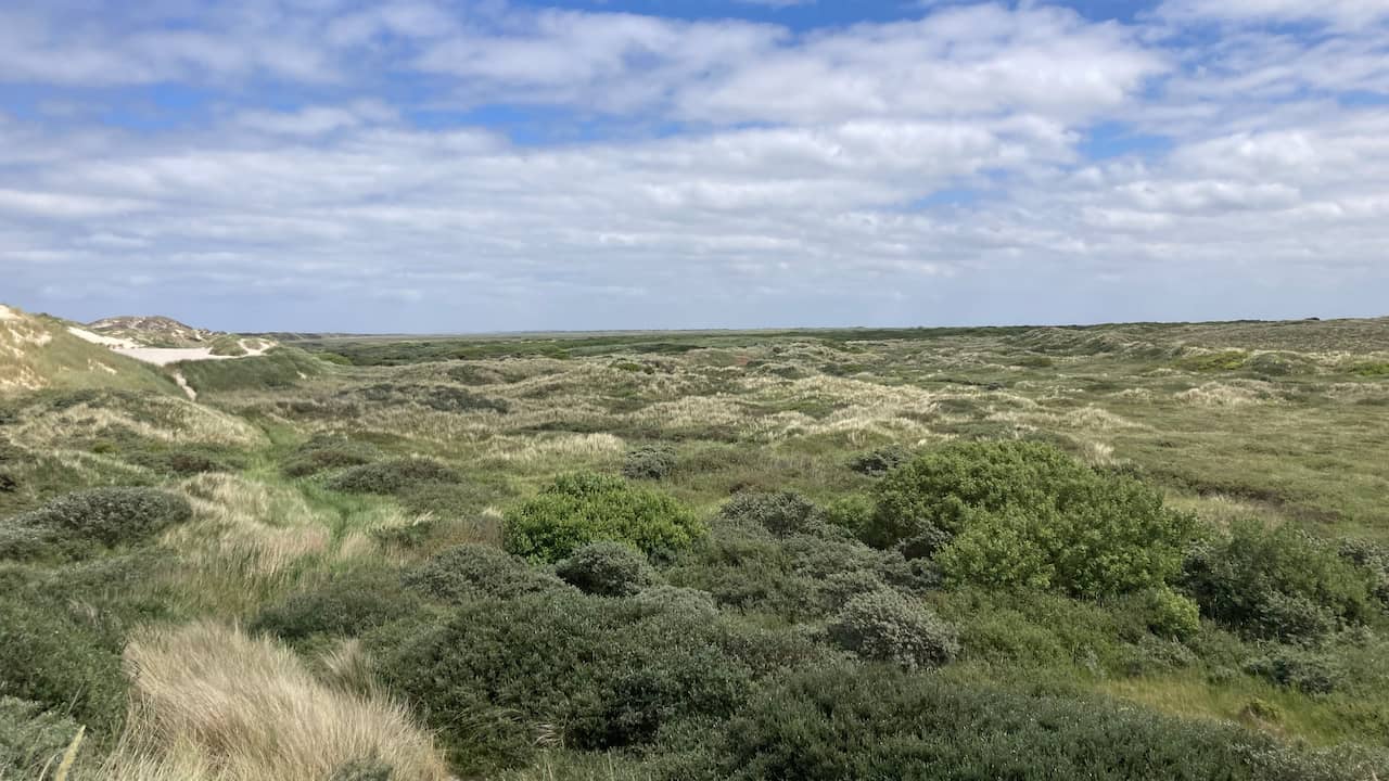 Onrust op de Wadden over mogelijk afsluiten natuur: 'Het is genoeg geweest'