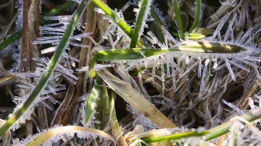 Na warme zomer duikt temperatuur aan de grond onder nul