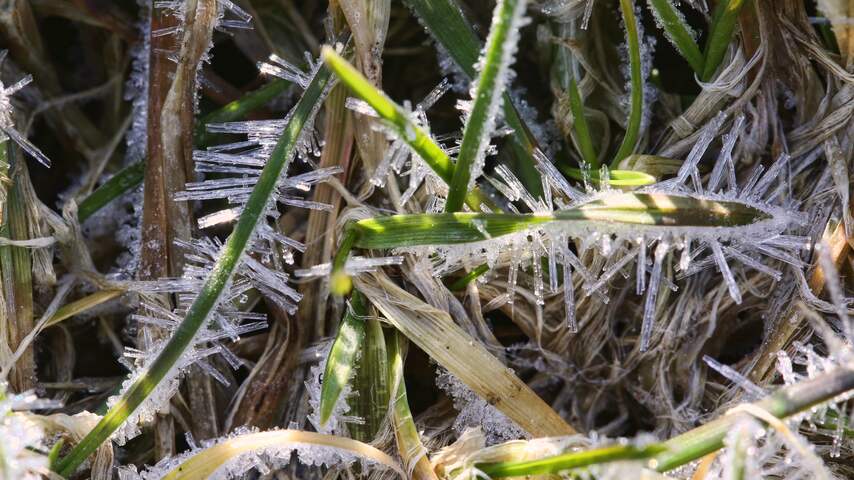 Foto bij Eerste lokale grondvorst van het najaar gemeten in Twente