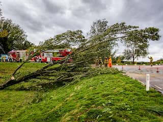 Bomen op de weg en stevig uitwaaien: zo raasde Ciarán over het land