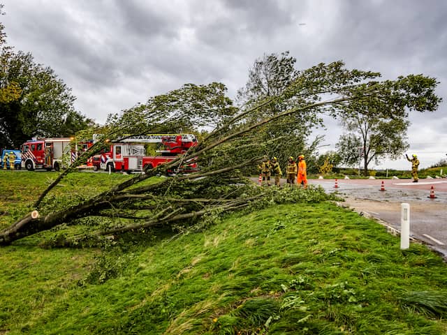 Bomen op de weg en stevig uitwaaien: zo raasde Ciarán over het land
