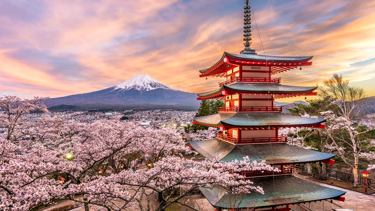 Kussens met Japanse kersenbloesem