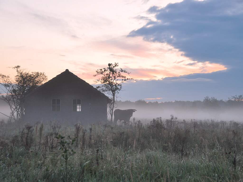 Zondag 17 september: Frisse ochtend met mist in Zuidoost Brabant.