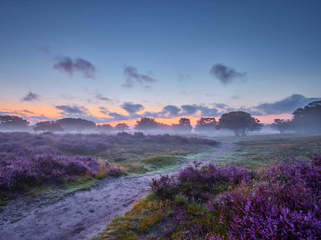 Weerbericht | Opnieuw een mistige dag, maar in de middag is het zonnig