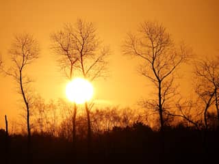 Weerbericht: Zonnig winterweer met vrieskou in de ochtend