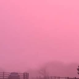 Video | Britten ontwaken met roze gloed aan de hemel
