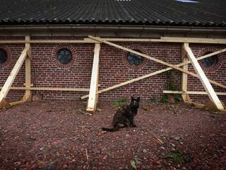 Aardbeving met kracht van 3.1 bij Gronings Wirdum, zwaarste beving van dit jaar