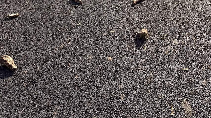 Foto bij Deel van A256 bij Goes afgesloten vanwege enorme lading suikerbieten op de weg