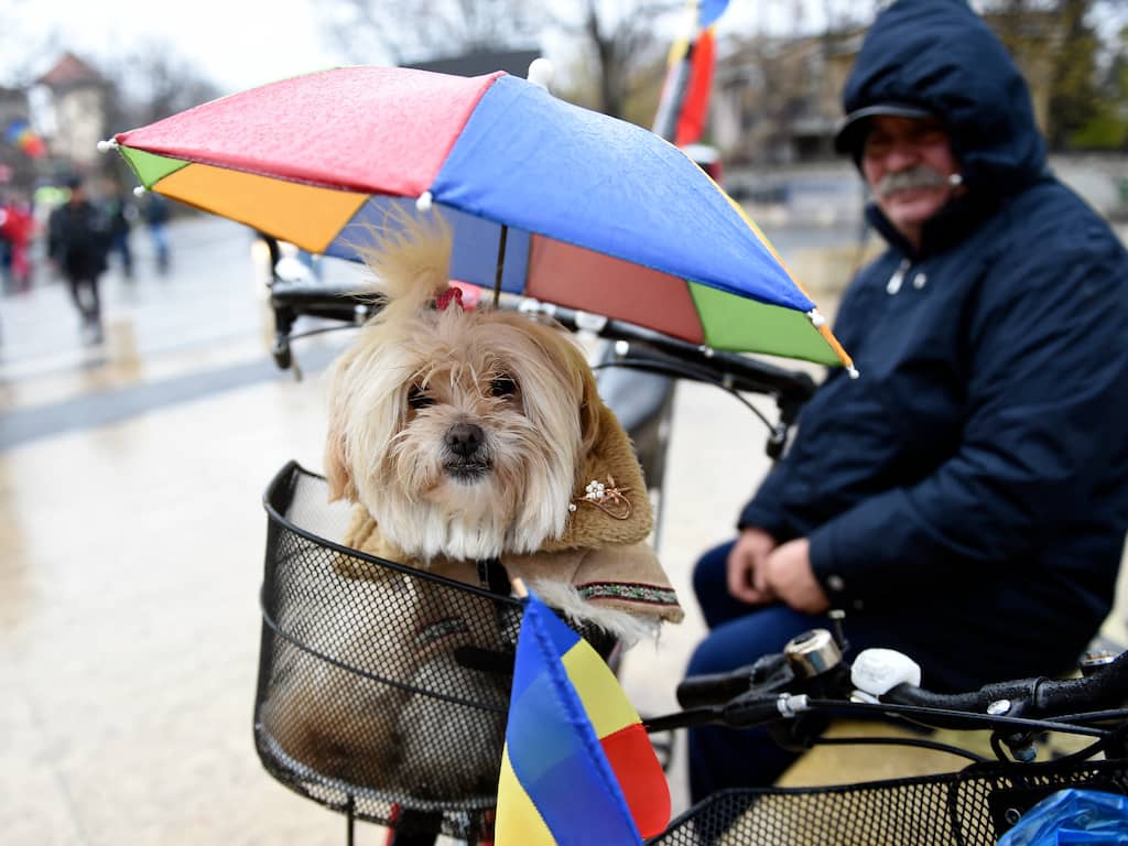 Weerbericht: Noorden zonnig, zuiden krijgt te maken met natte sneeuw