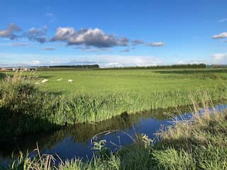 Onenigheid over bouw heel nieuw dorp, meters onder zeeniveau