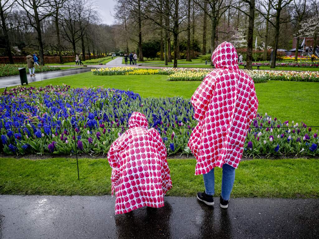 Weerbericht | Weer een regenachtige en gure dag met zeer krachtige wind